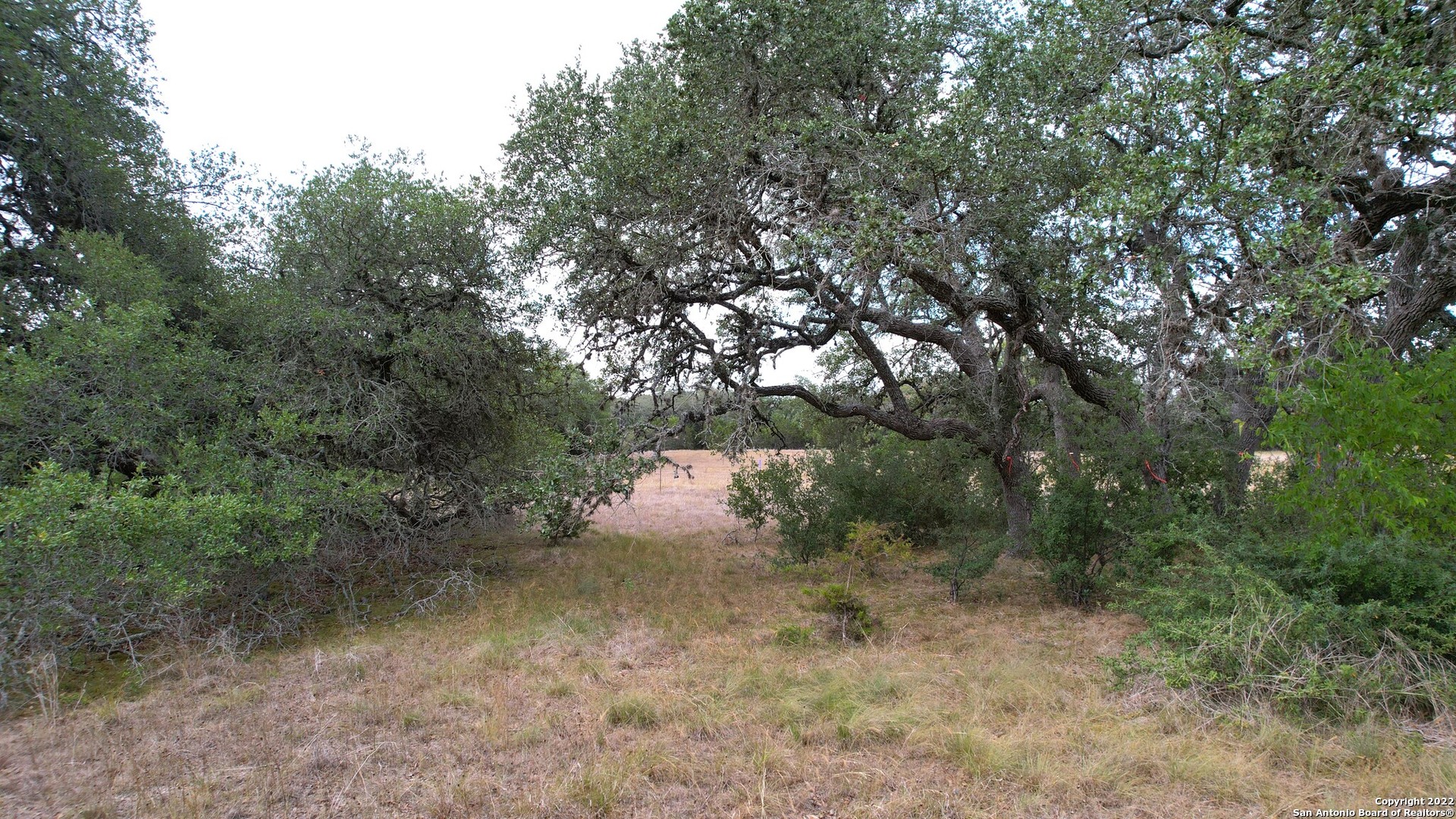 765 Annabelle Bulverde TX 78163