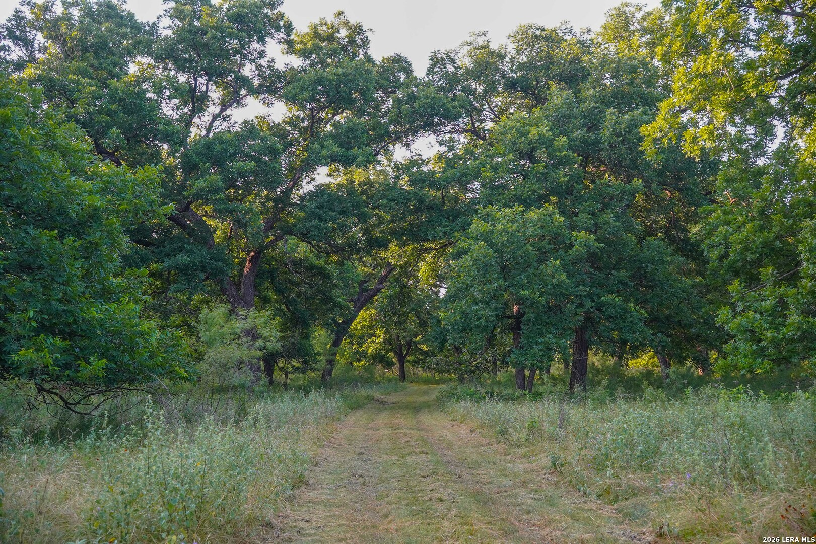 Tbd Highway 377 Junction TX 76849
