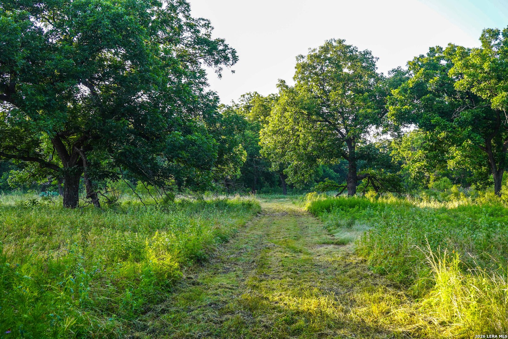 Tbd Highway 377 Junction TX 76849