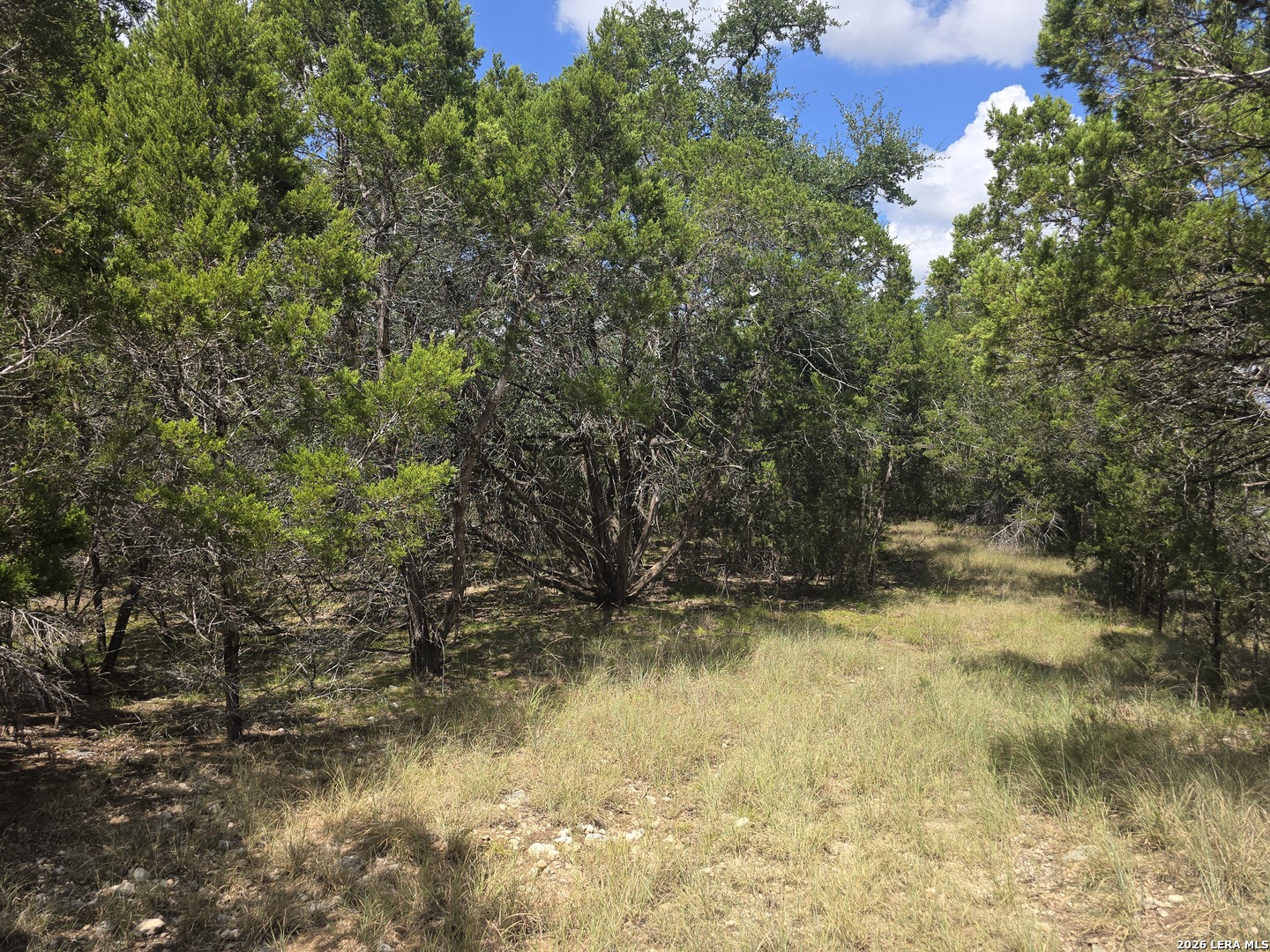 0 State Highway 46 Boerne TX 78004