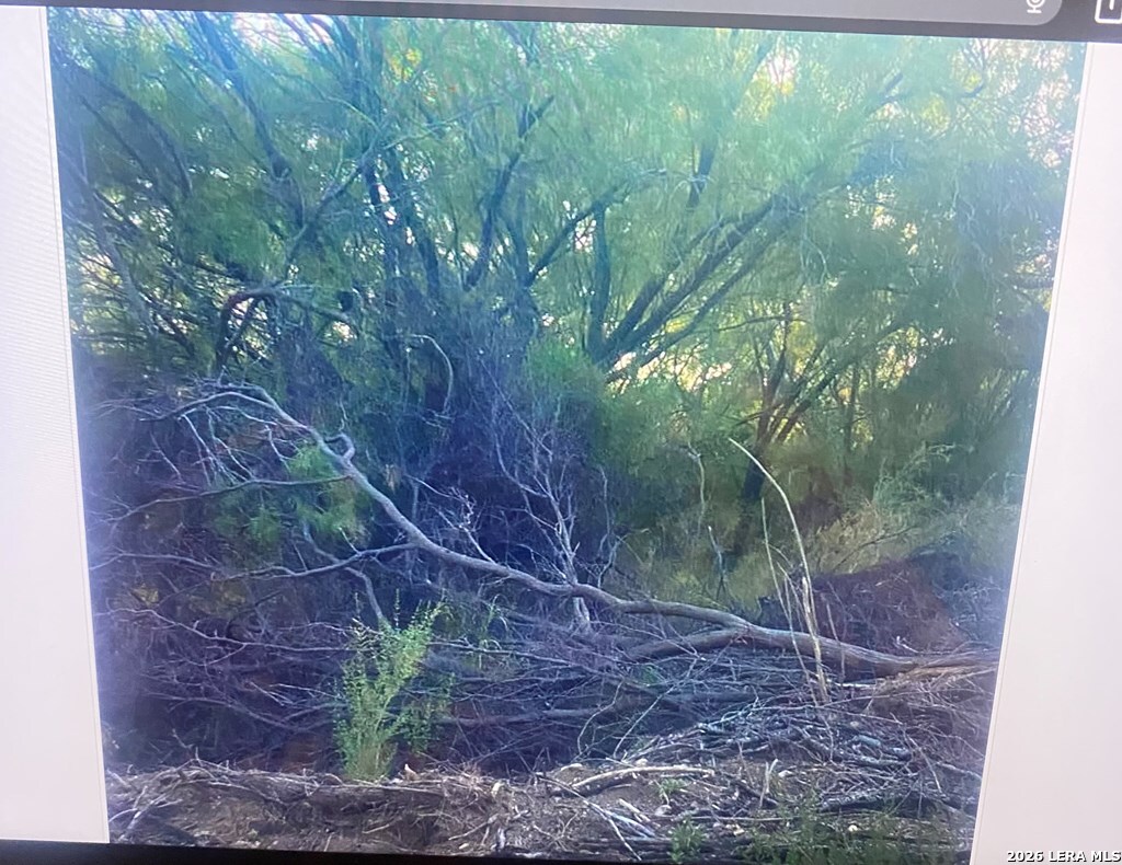 498 D Chavarra Road Eagle Pass TX 78852