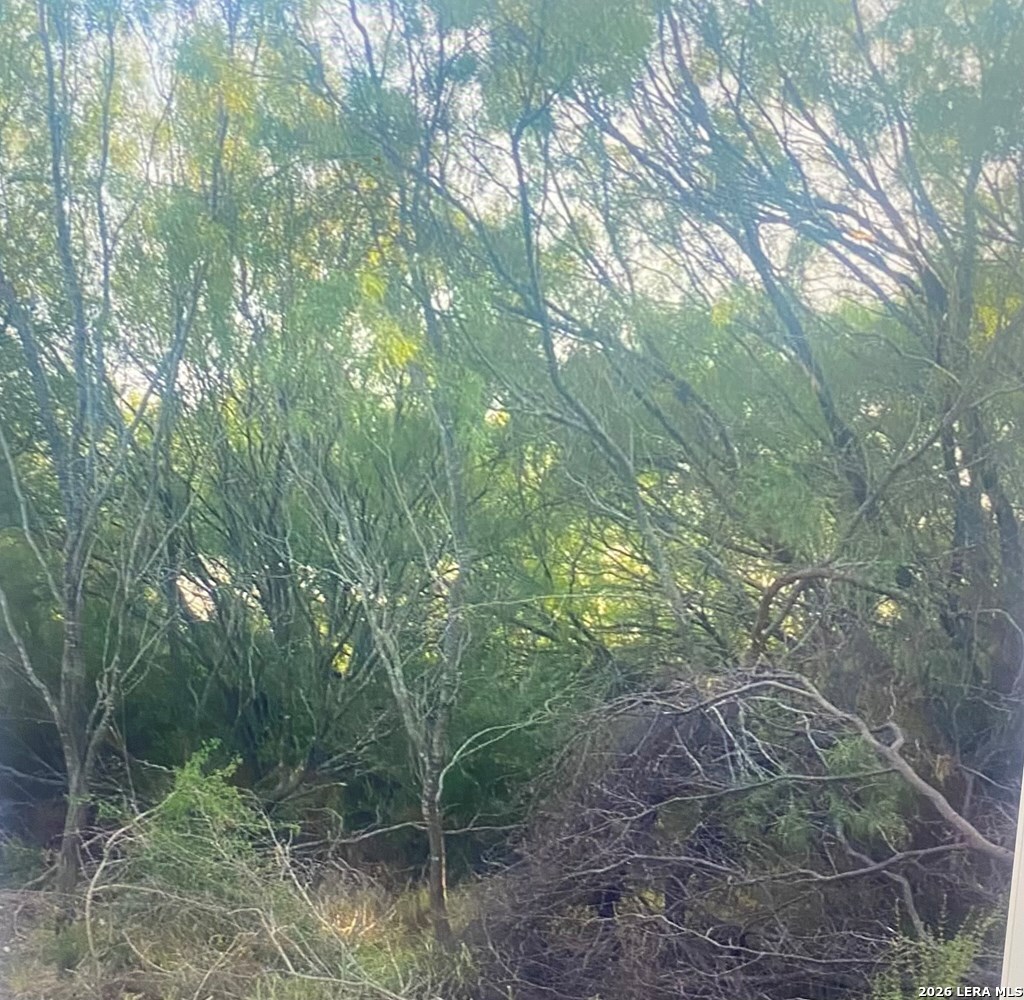 498 D Chavarra Road Eagle Pass TX 78852