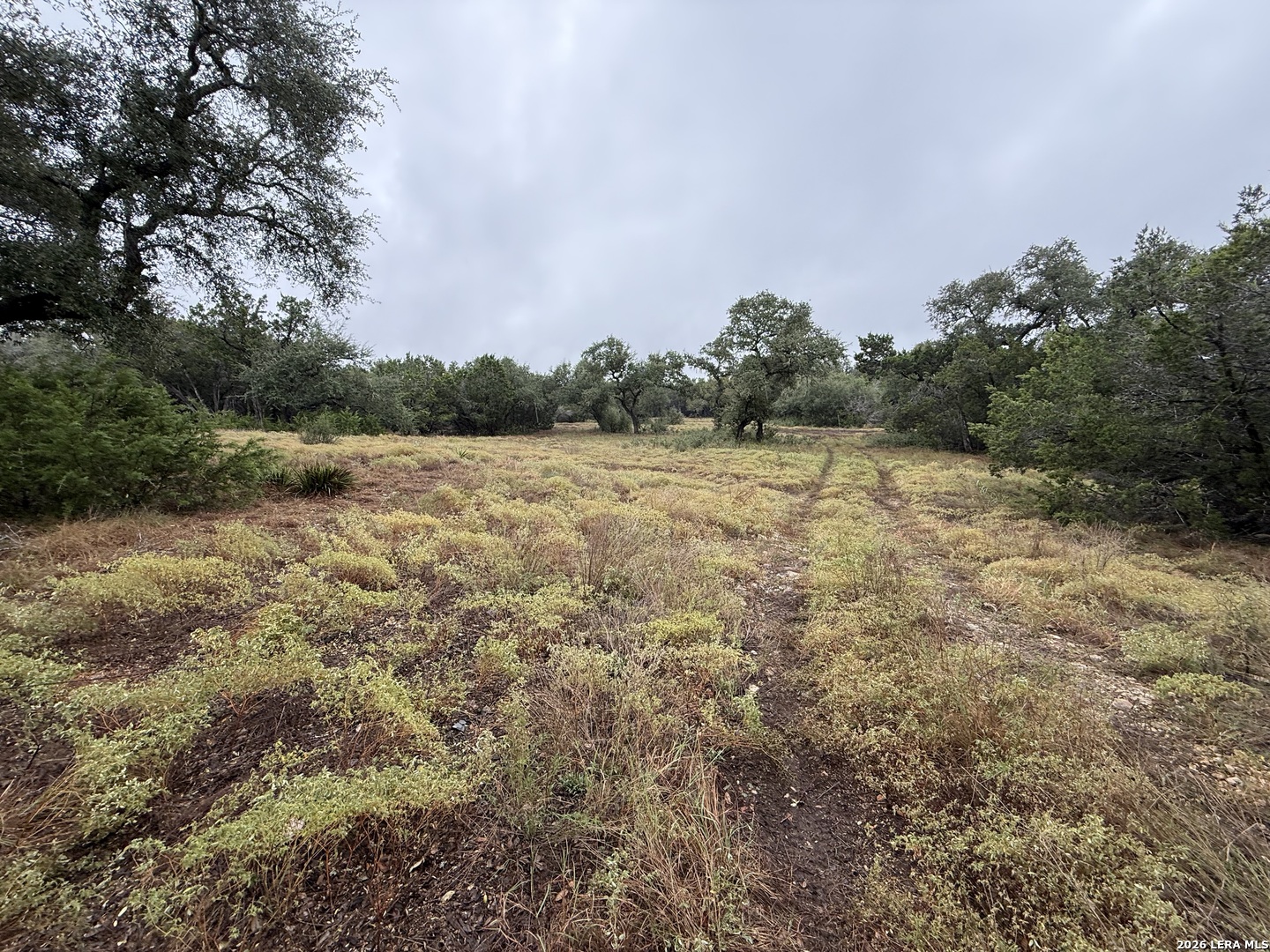 29711 Fm 306 Spring Branch TX 78070