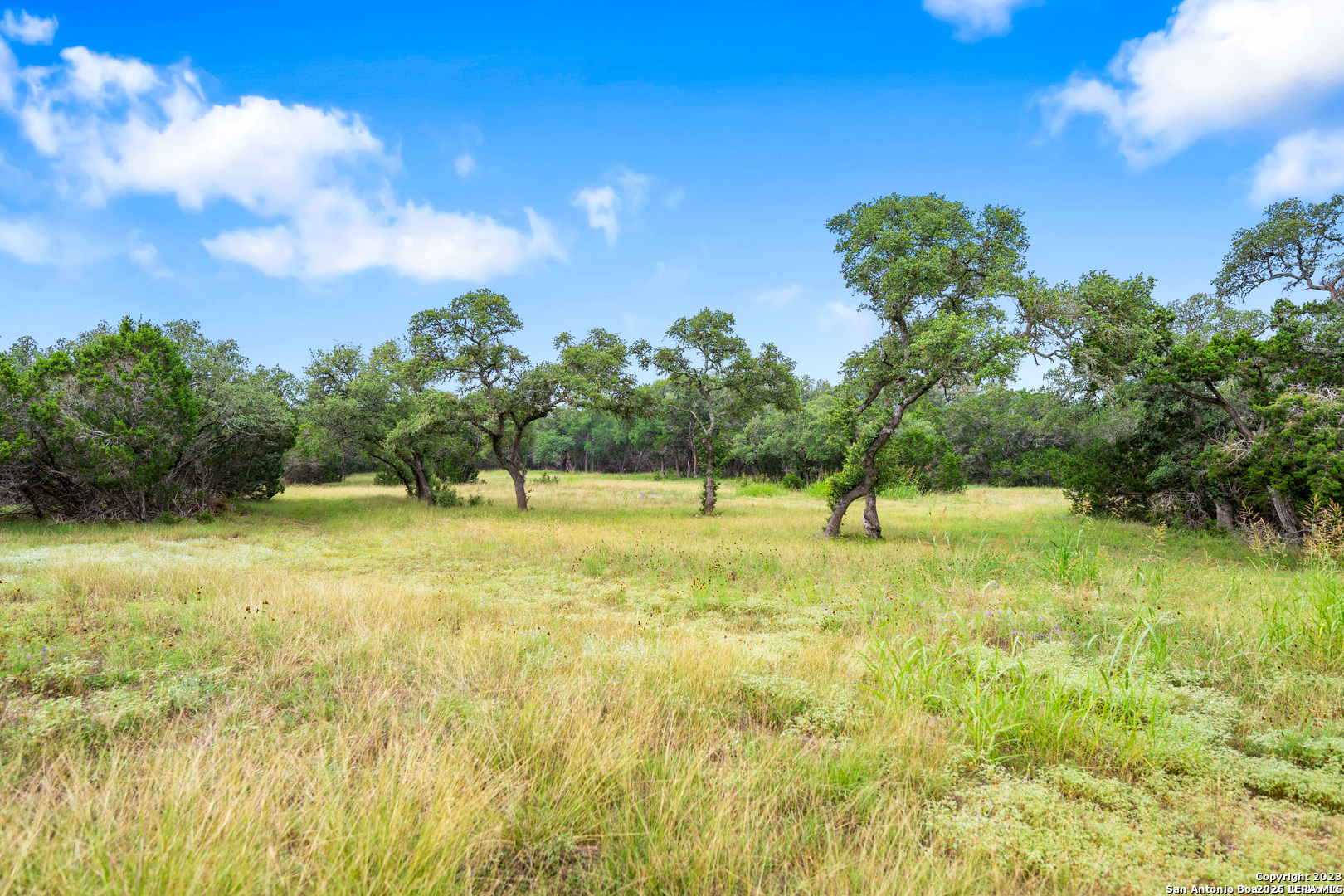 29711 Fm 306 Spring Branch TX 78070