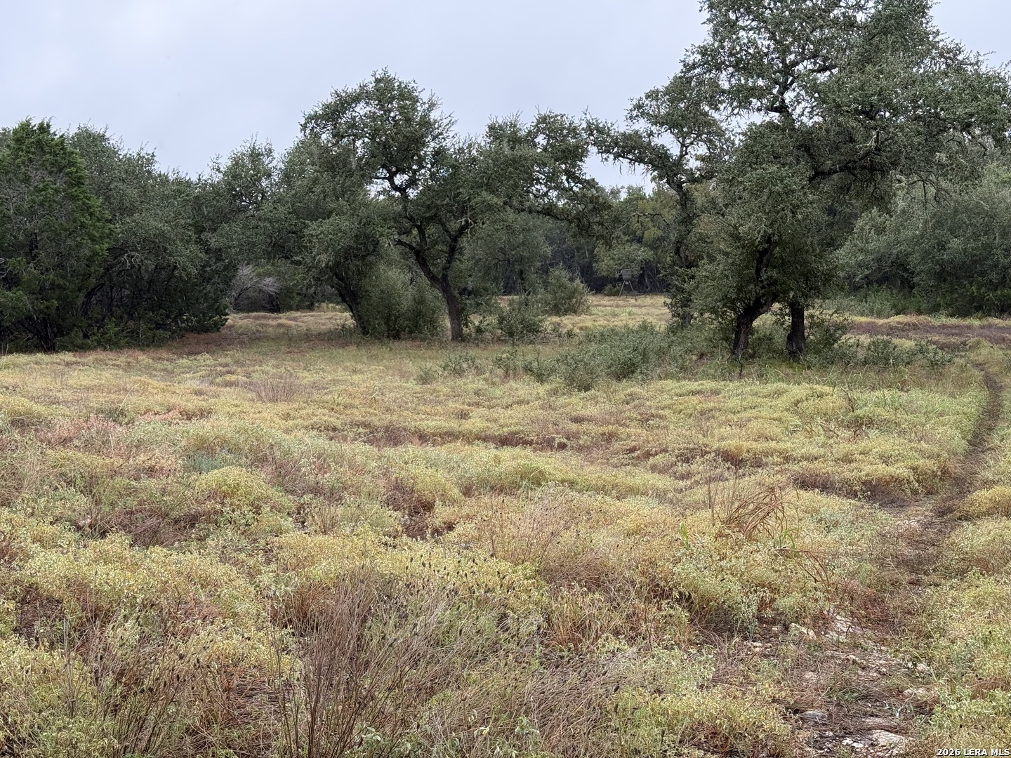 29711 Fm 306 Spring Branch TX 78070