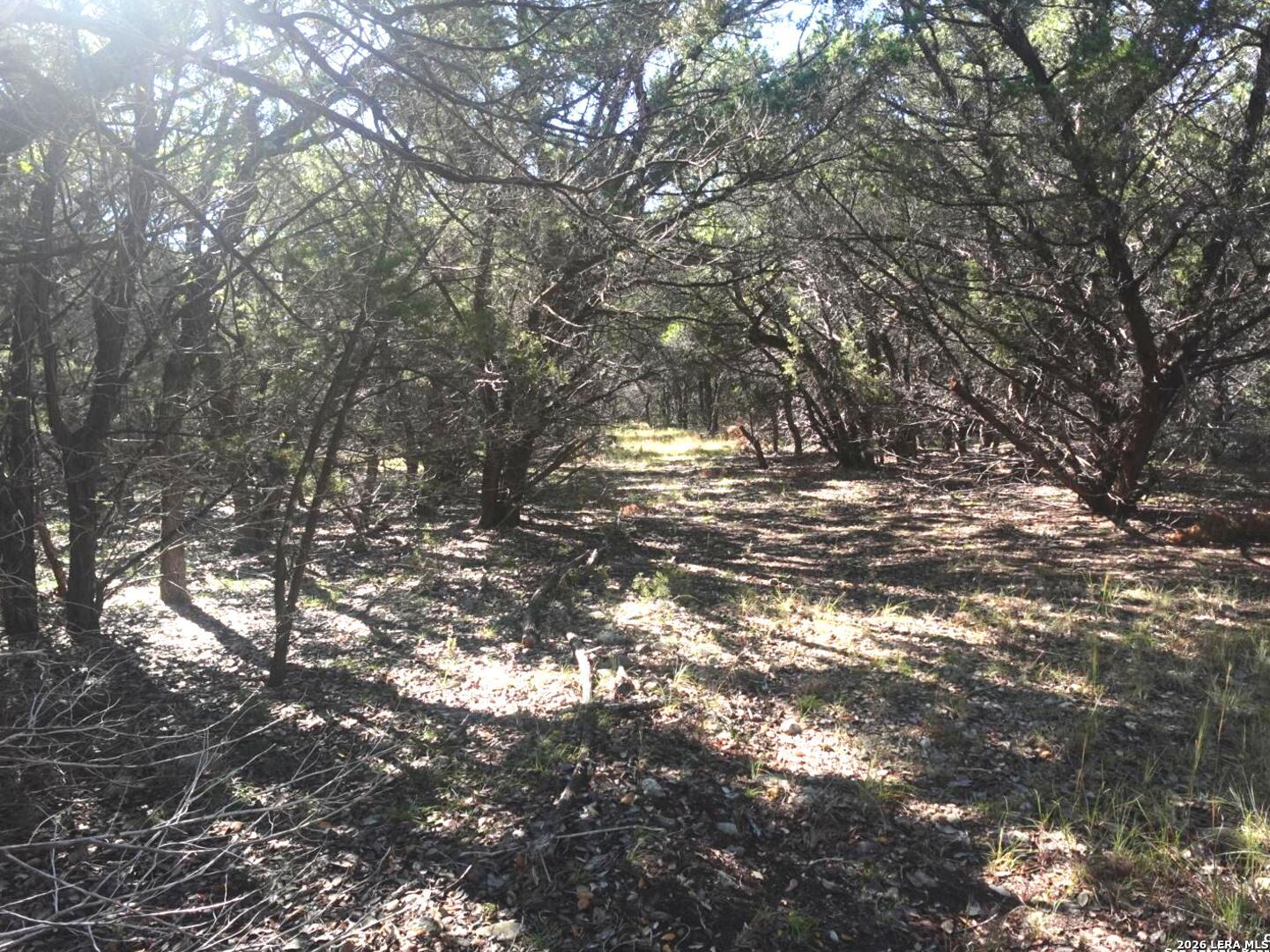 110 Estates Wimberley TX 78676