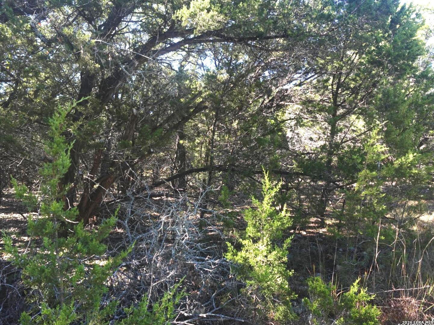 110 Estates Wimberley TX 78676
