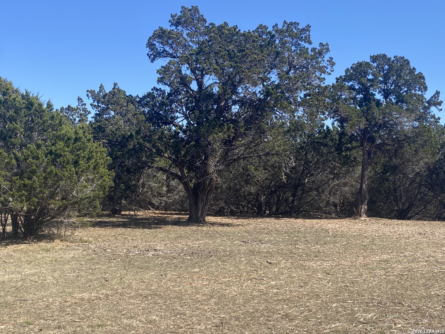 Lot 7 Creekside At Camp Verde Center Point TX 78010