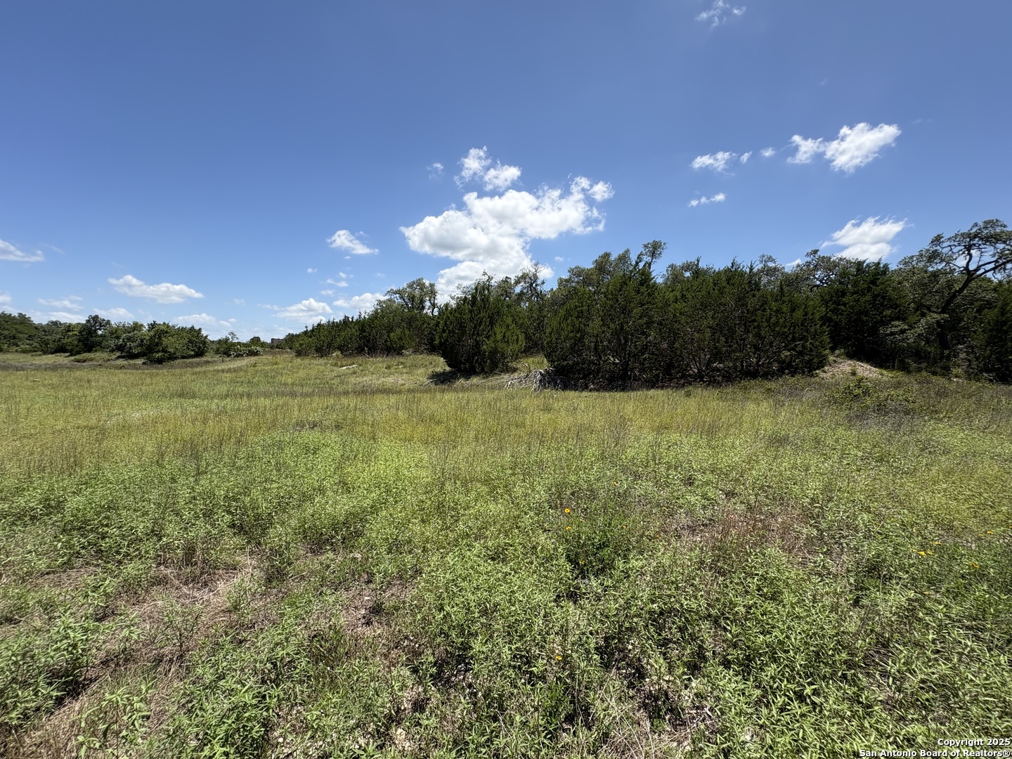 184 Peyton Colony Blanco TX 78606
