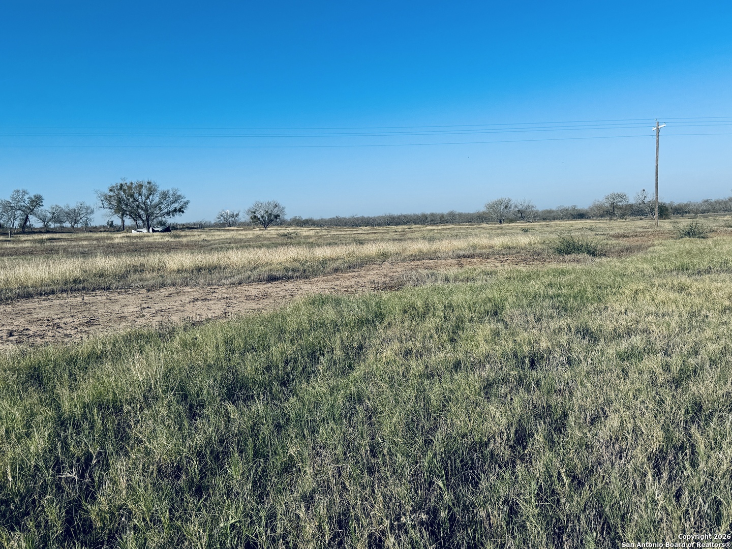 Tbd Byrd Road Pleasanton TX 78064