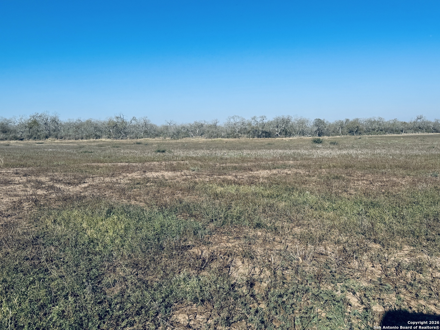 Tbd Byrd Road Pleasanton TX 78064