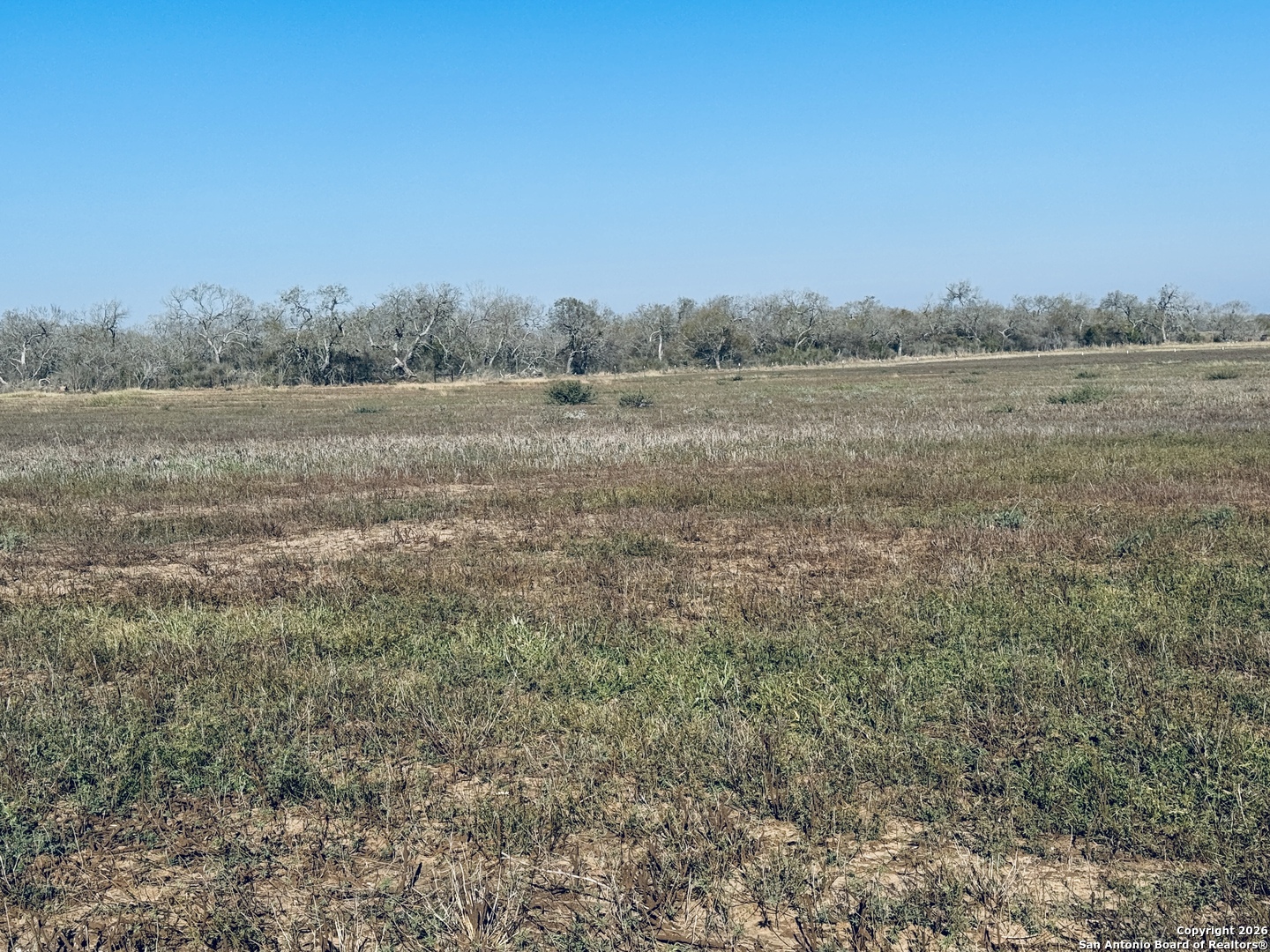 Tbd Byrd Road Pleasanton TX 78064