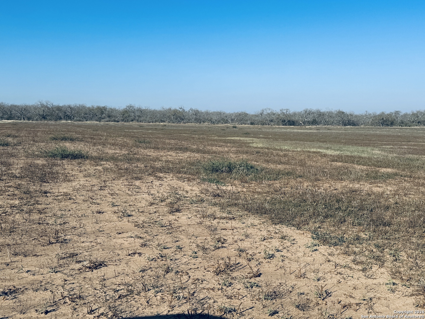 Tbd Byrd Road Pleasanton TX 78064