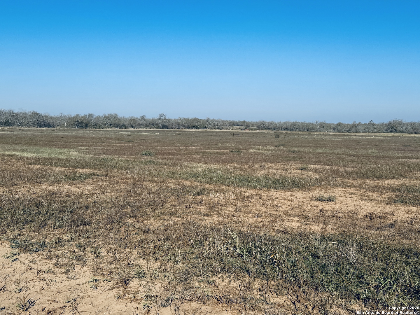 Tbd Byrd Road Pleasanton TX 78064