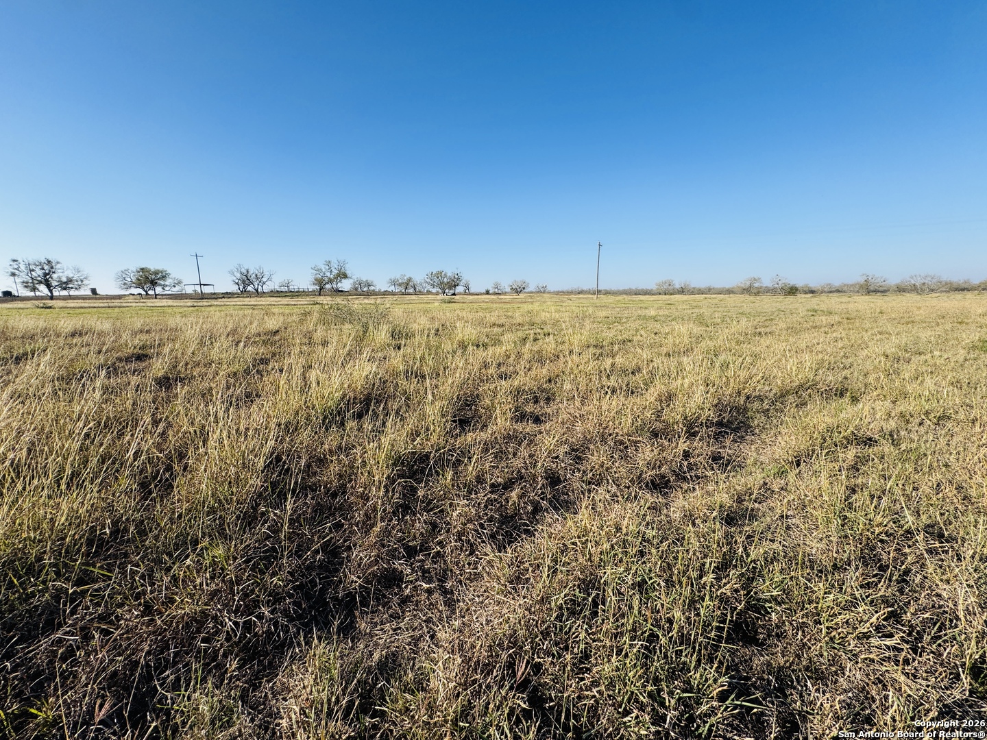 Tbd Byrd Road Pleasanton TX 78064