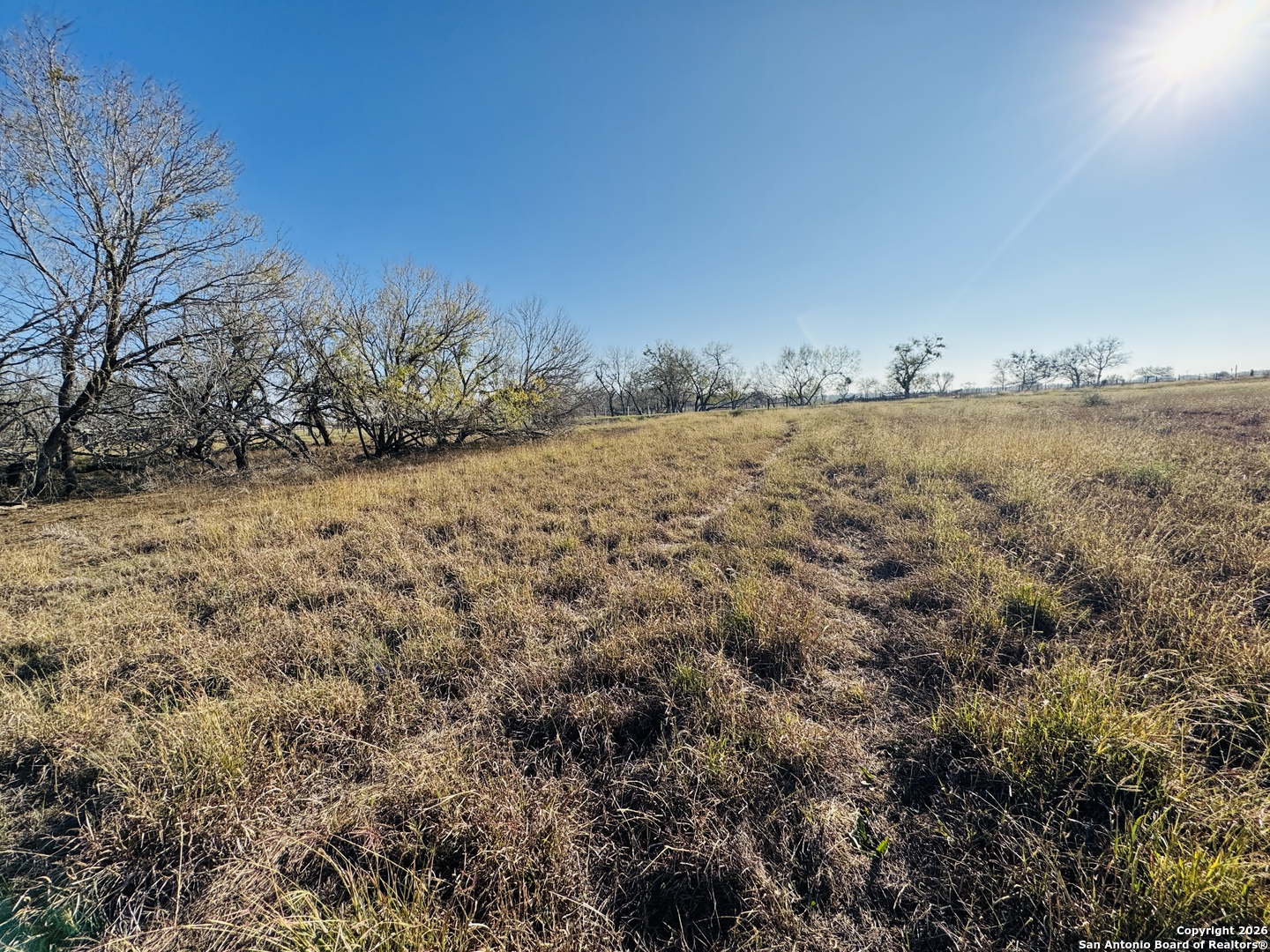 Tbd Byrd Road Pleasanton TX 78064