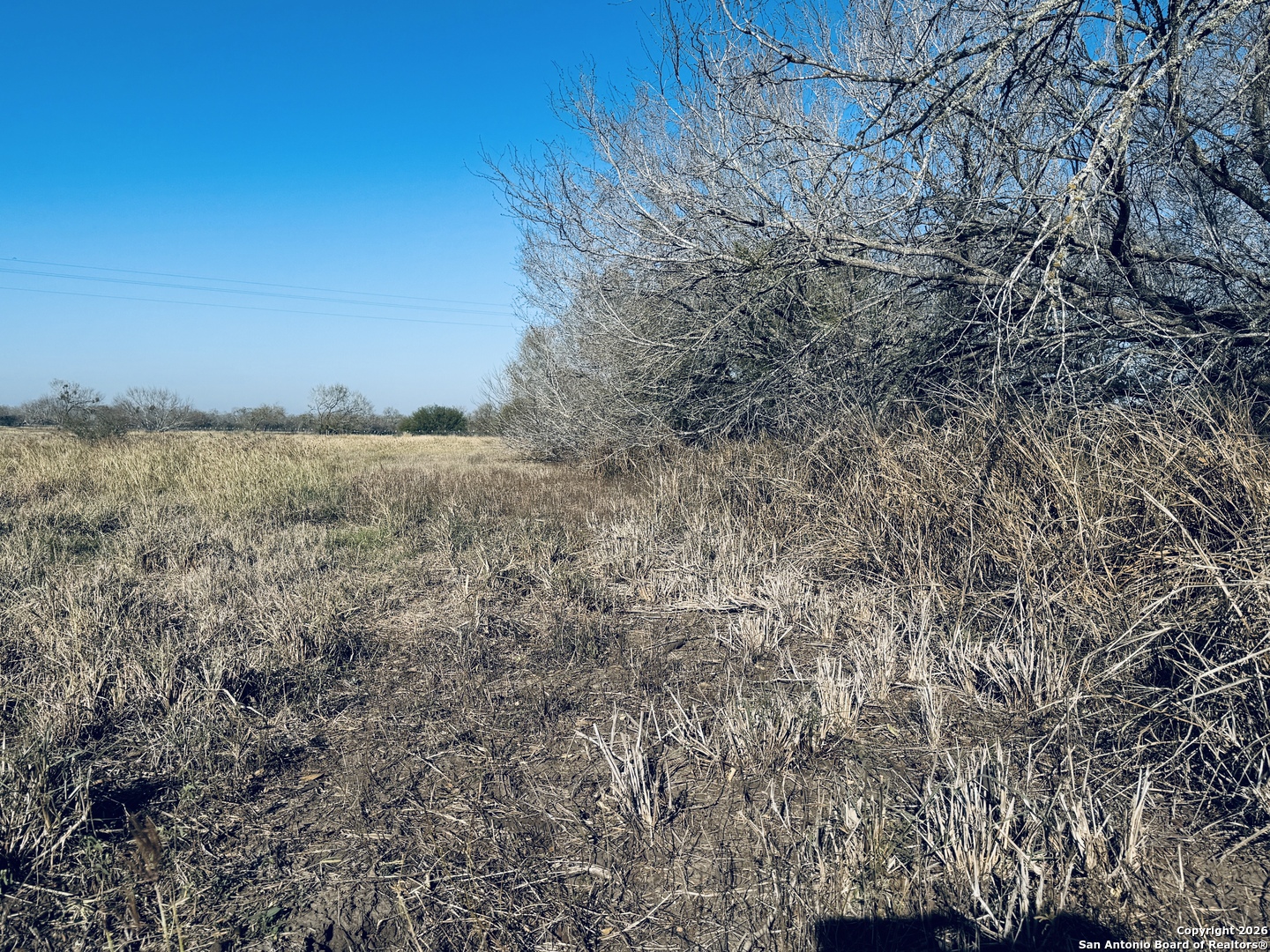 Tbd Byrd Road Pleasanton TX 78064