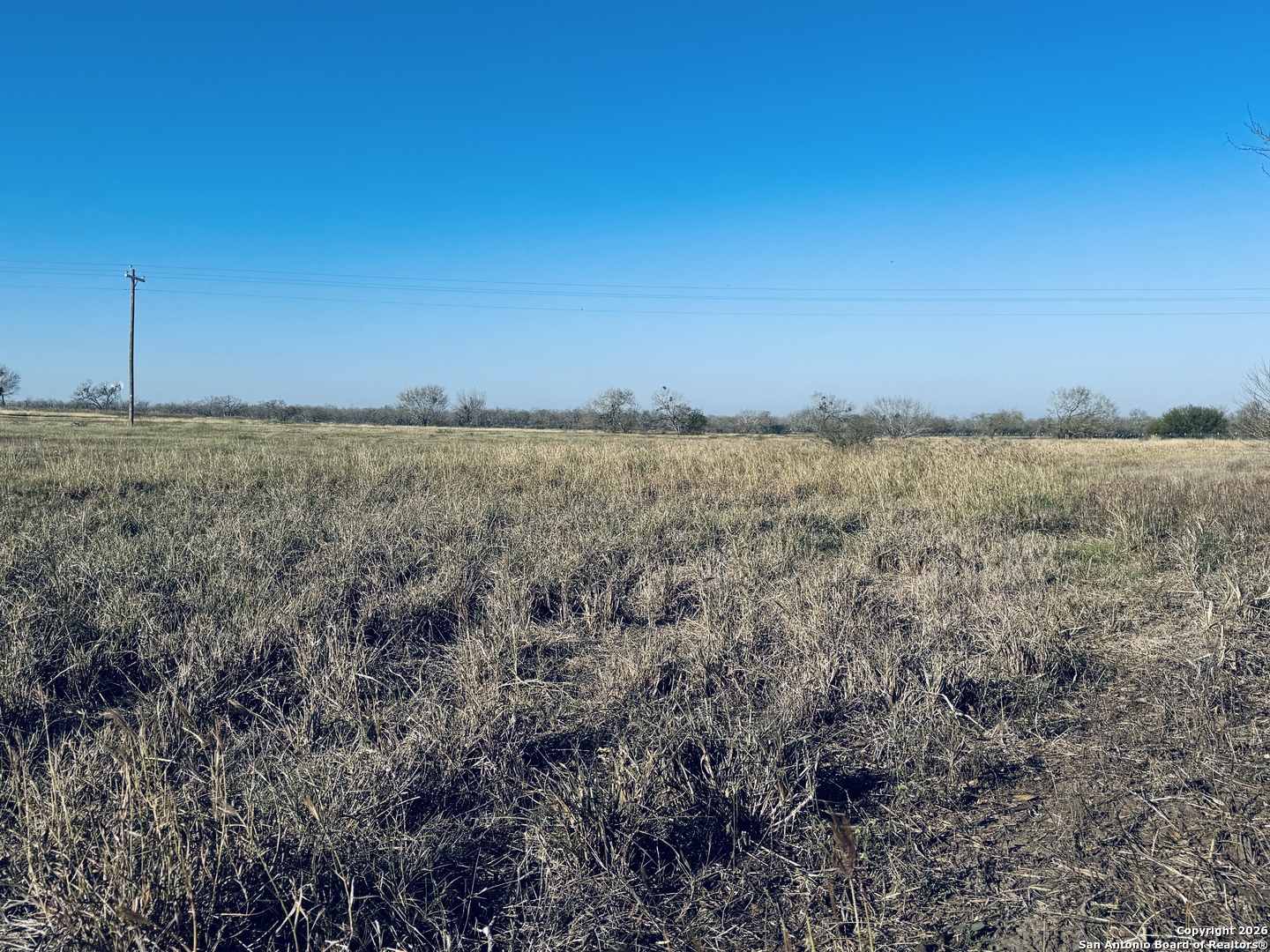 Tbd Byrd Road Pleasanton TX 78064