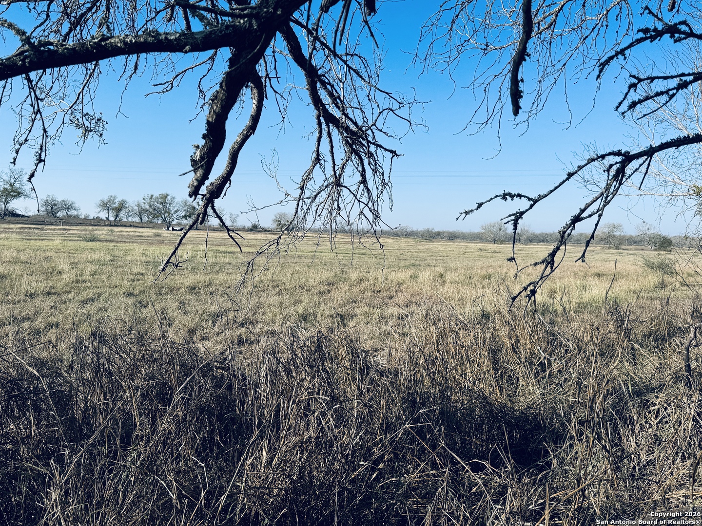 Tbd Byrd Road Pleasanton TX 78064