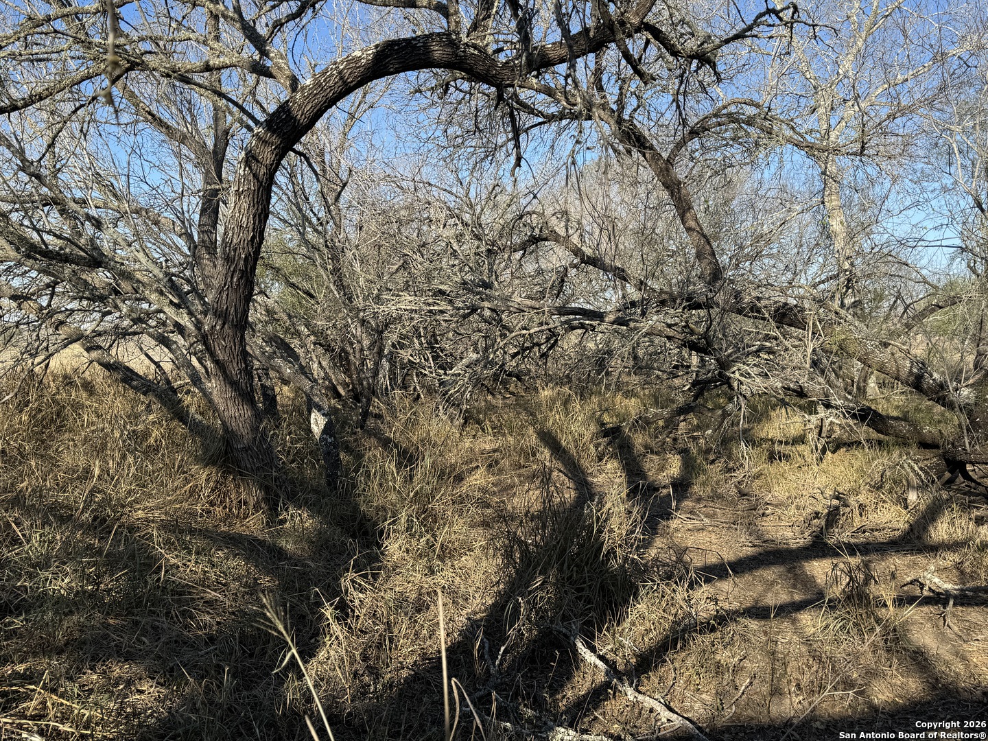 Tbd Byrd Road Pleasanton TX 78064