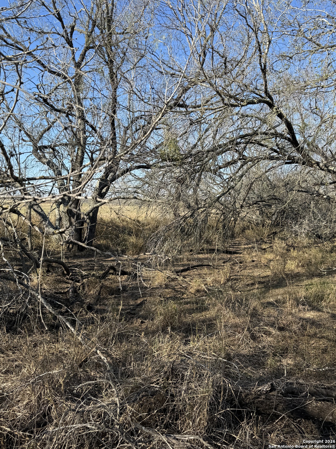 Tbd Byrd Road Pleasanton TX 78064