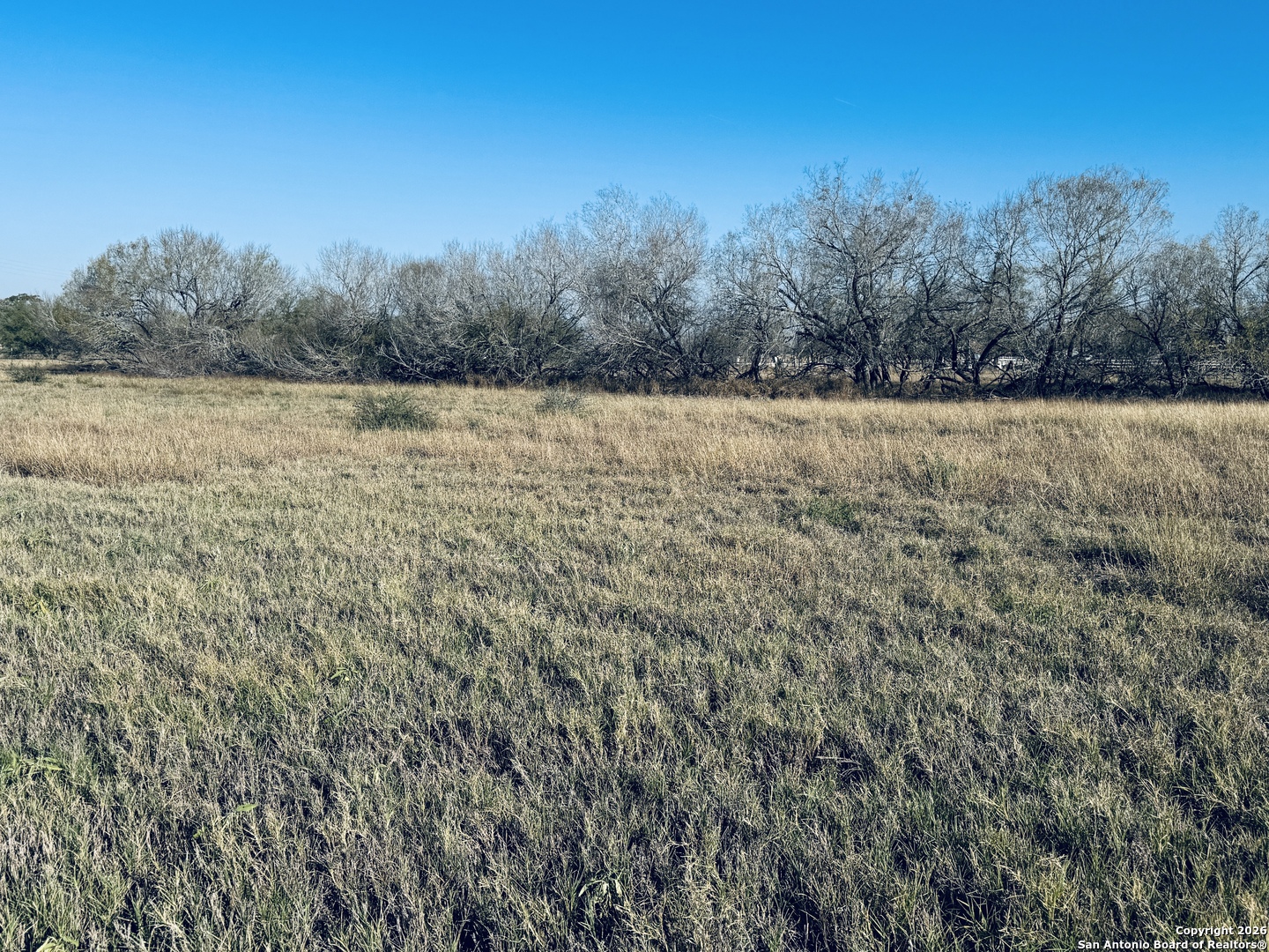 Tbd Byrd Road Pleasanton TX 78064
