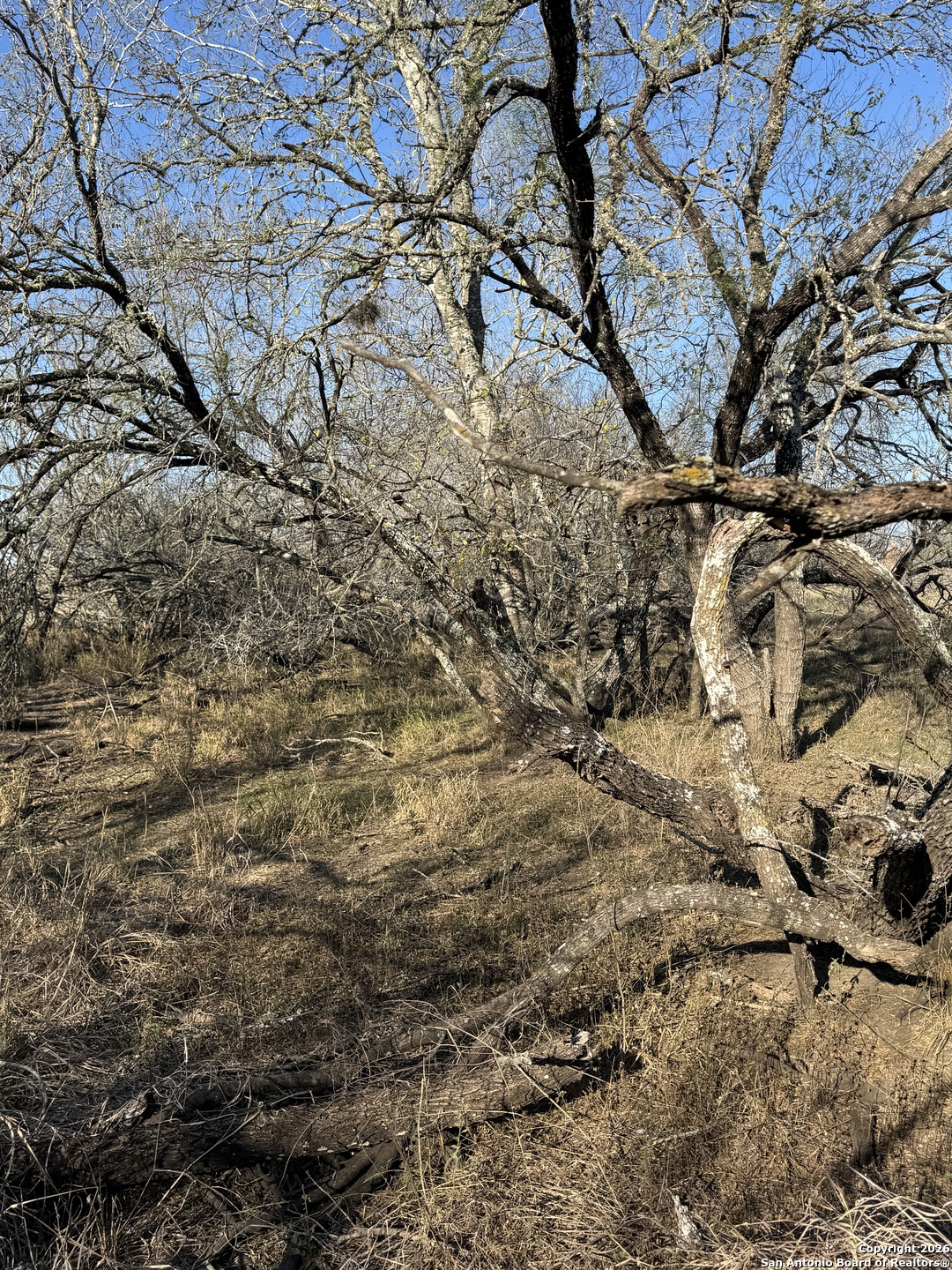 Tbd Byrd Road Pleasanton TX 78064