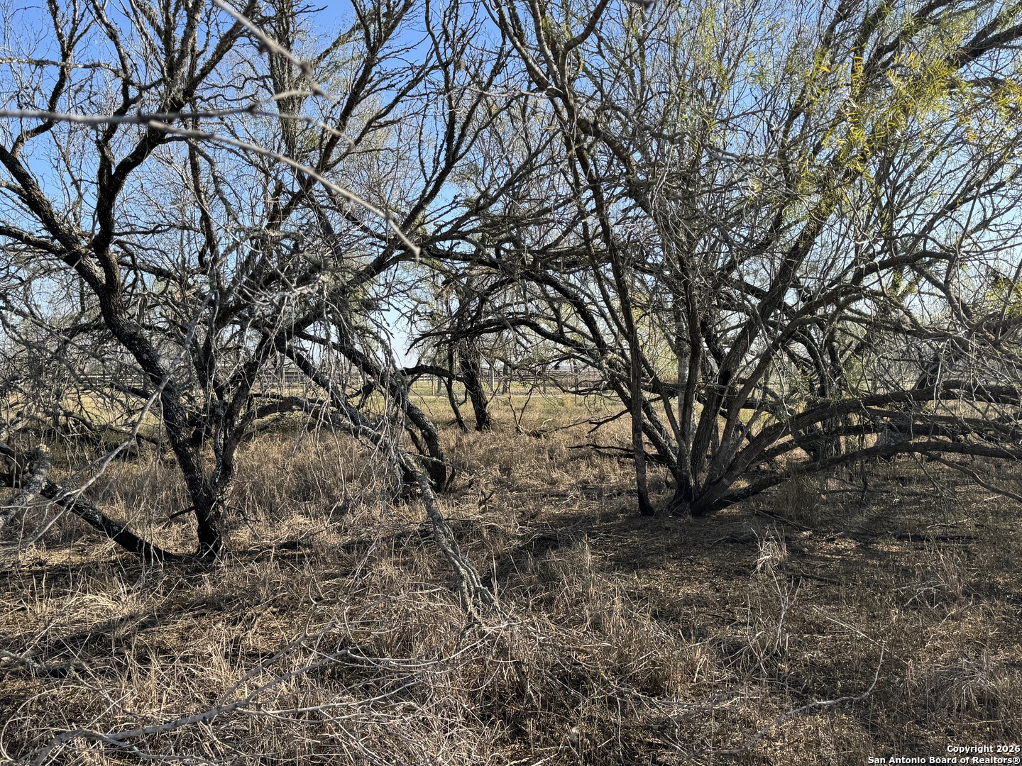 Tbd Byrd Road Pleasanton TX 78064