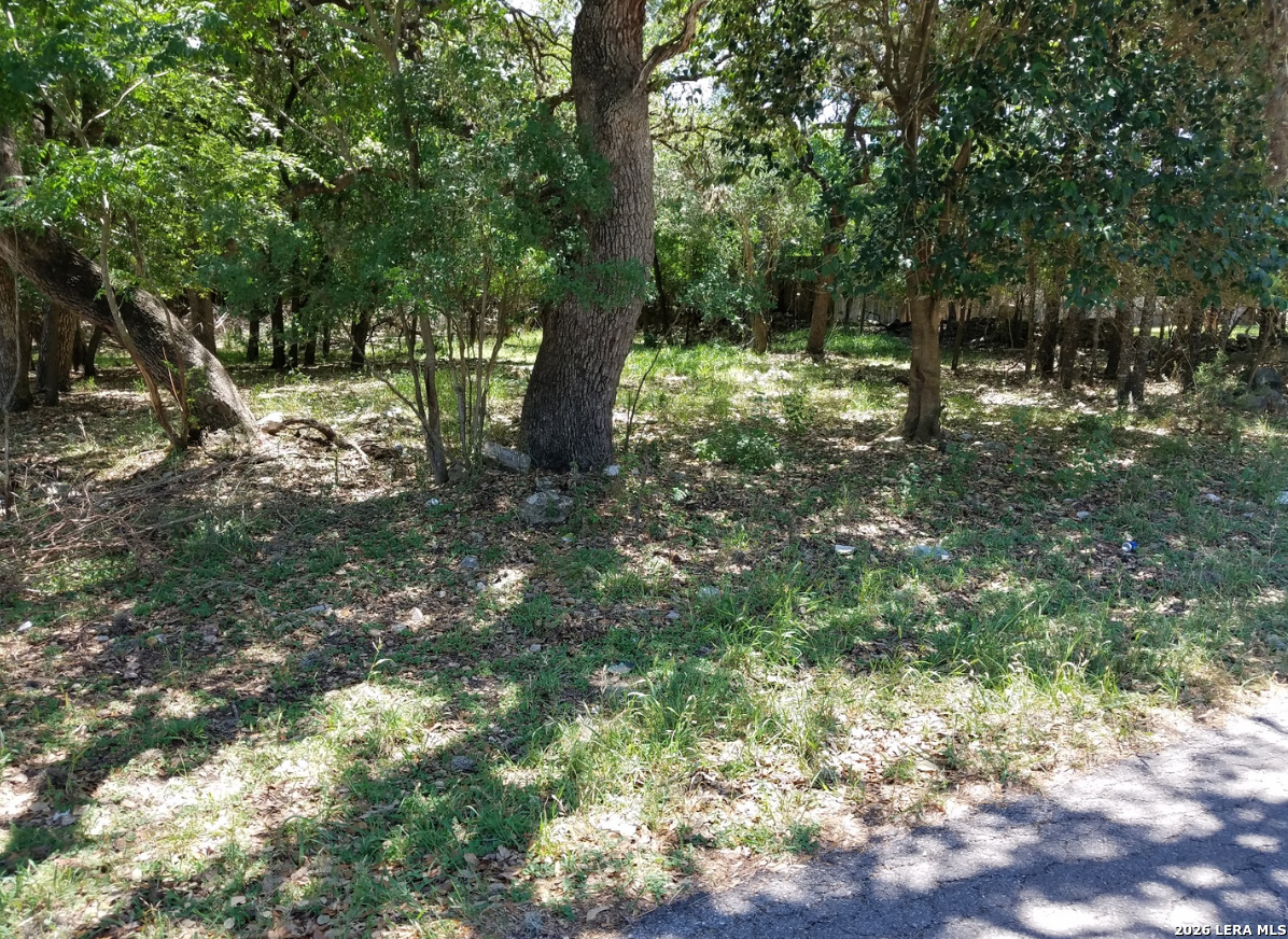 1906 Pipestone Drive San Antonio TX 78232