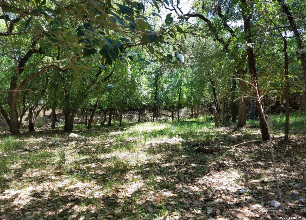 1906 Pipestone Drive San Antonio TX 78232