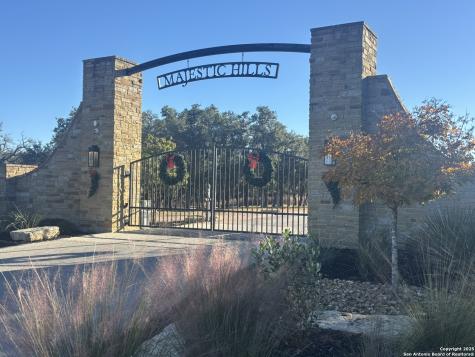 466 Majestic Oak Blanco TX 78606