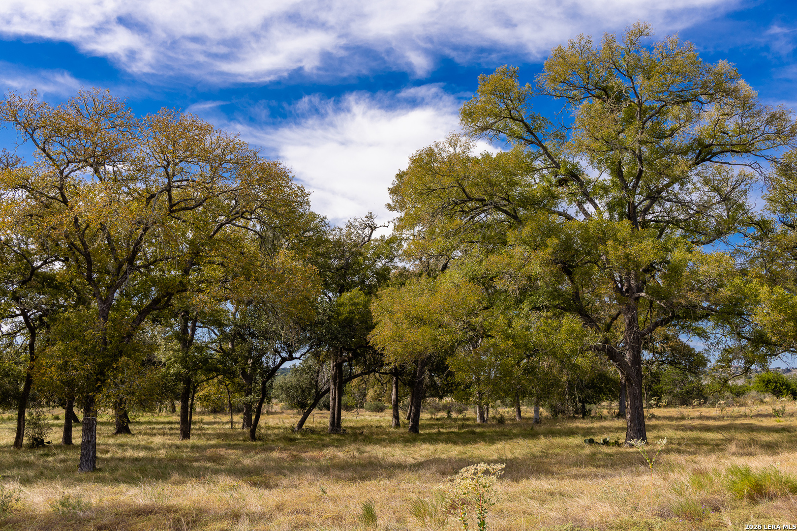 Lot 54 Cool Creek Road Camp Verde TX 78010