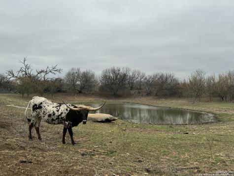 3075 County Road 5710 Devine TX 78016