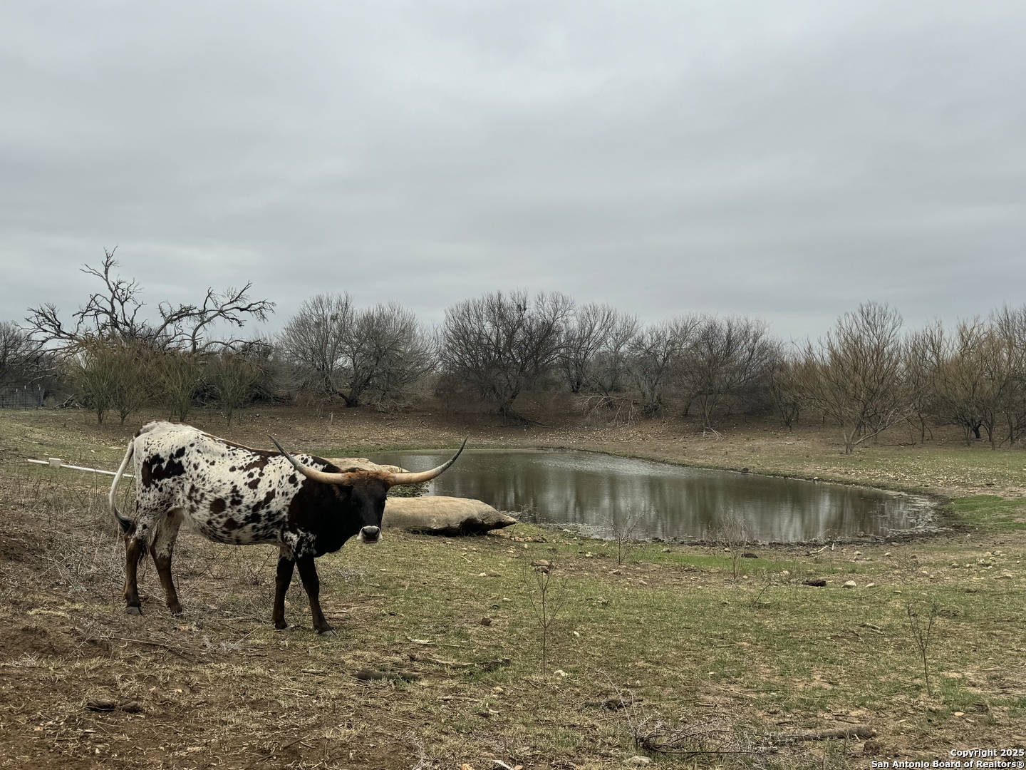 3075 County Road 5710 Devine TX 78016