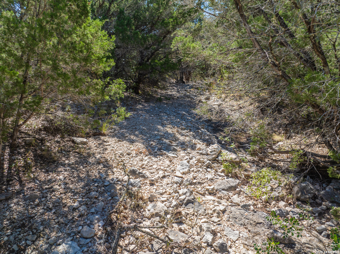 Lot 85 New Leona Ranch Brackettville TX 78832
