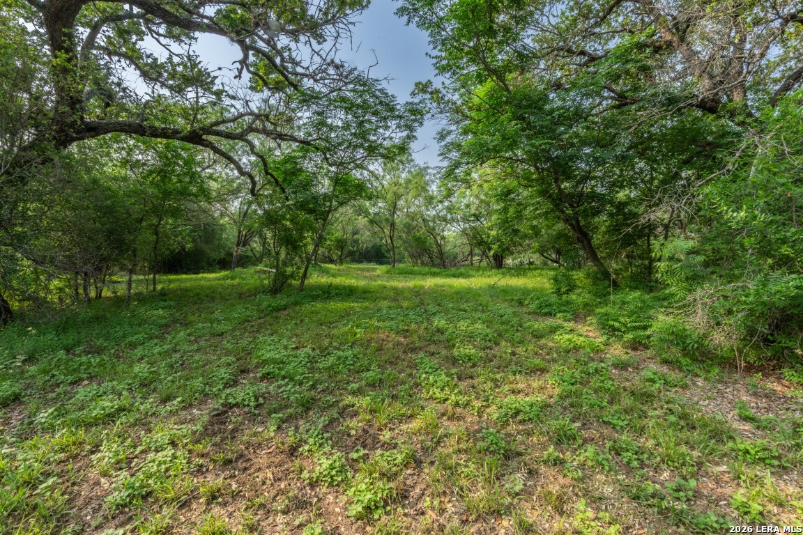 224 County Road 662 Devine TX 78016