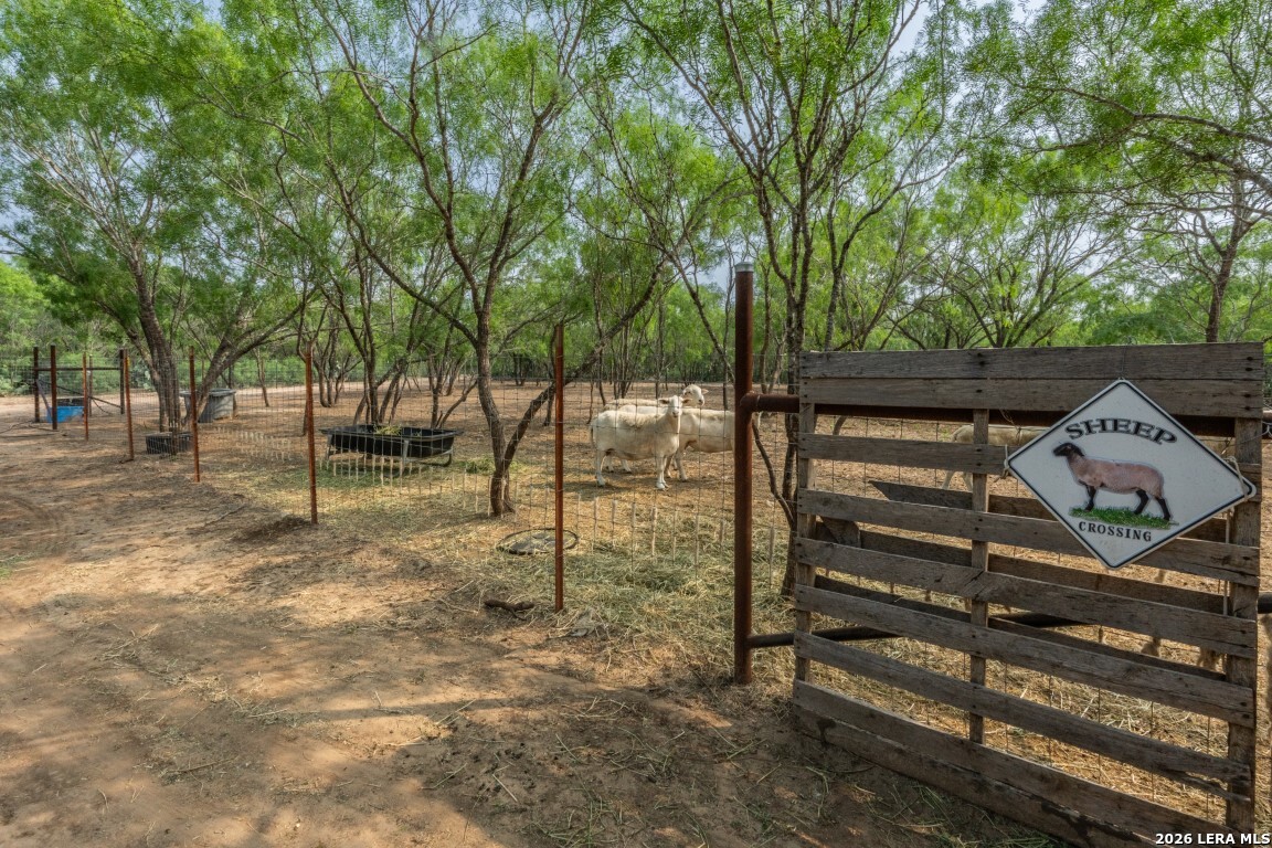 224 County Road 662 Devine TX 78016