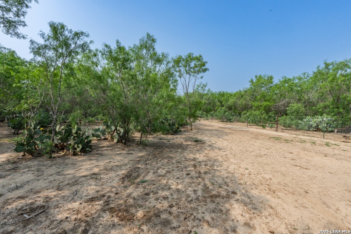 224 County Road 662 Devine TX 78016