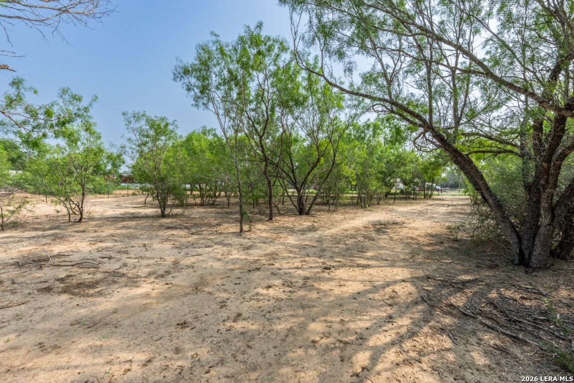 224 County Road 662 Devine TX 78016