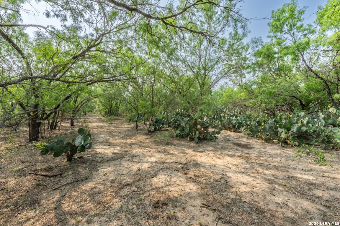 224 County Road 662 Devine TX 78016