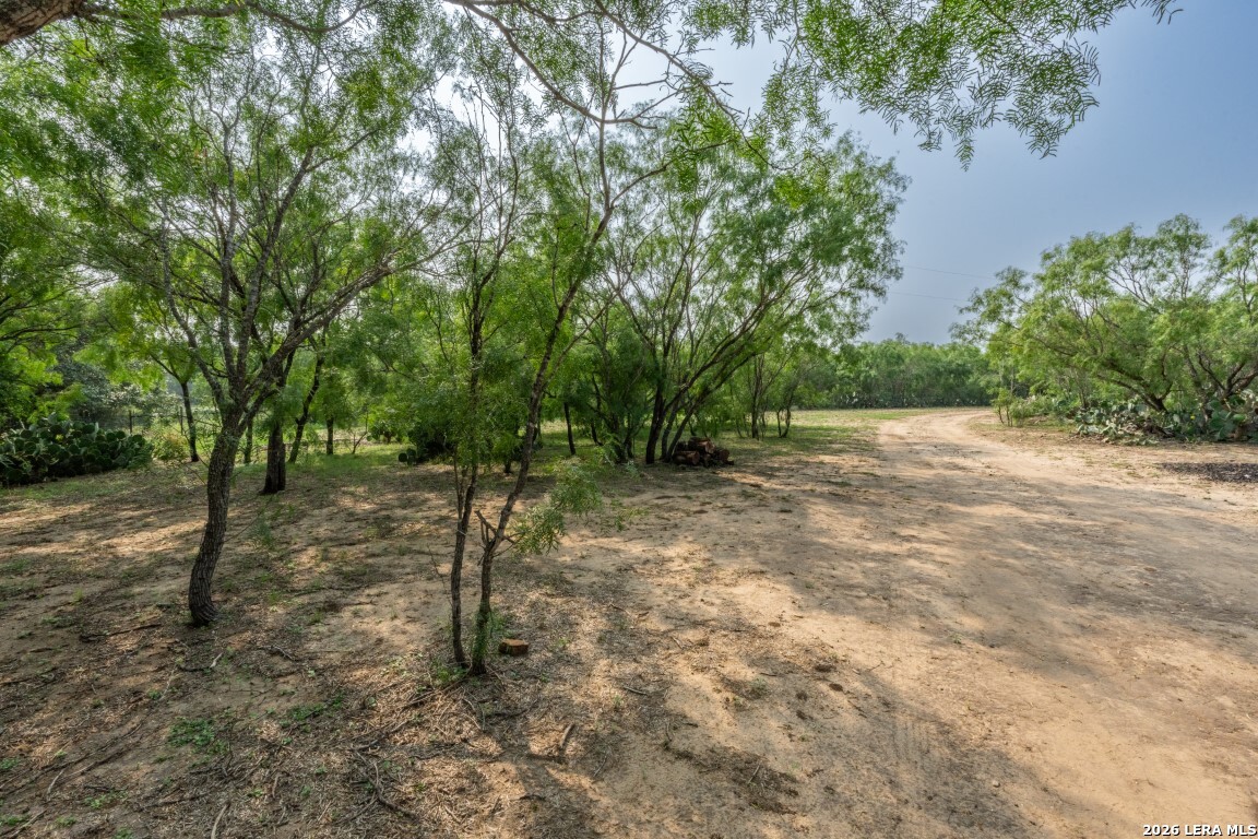 224 County Road 662 Devine TX 78016