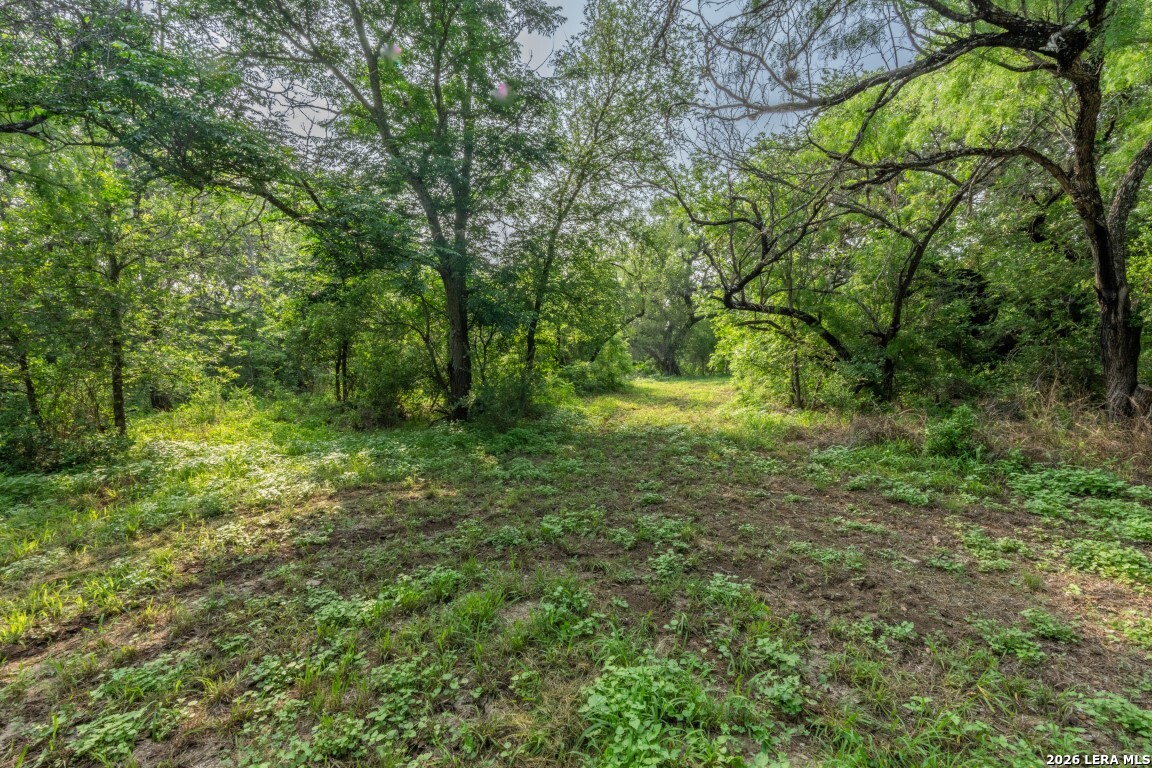 224 County Road 662 Devine TX 78016