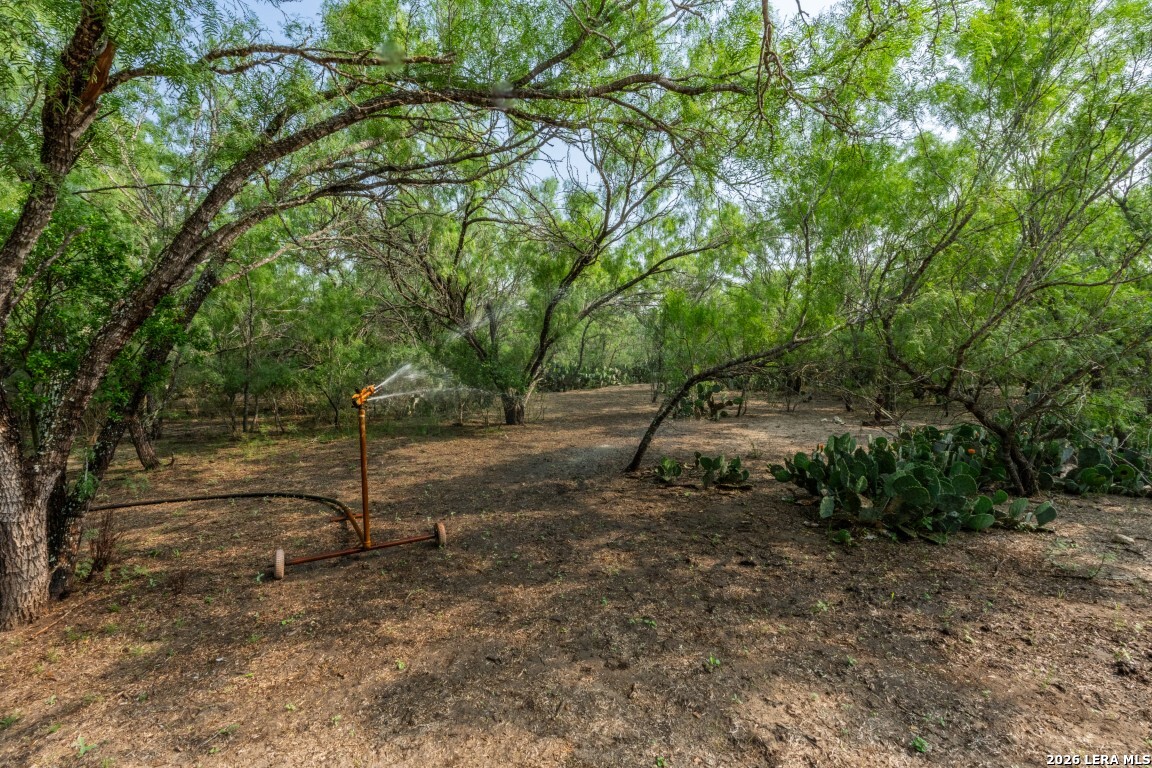 224 County Road 662 Devine TX 78016