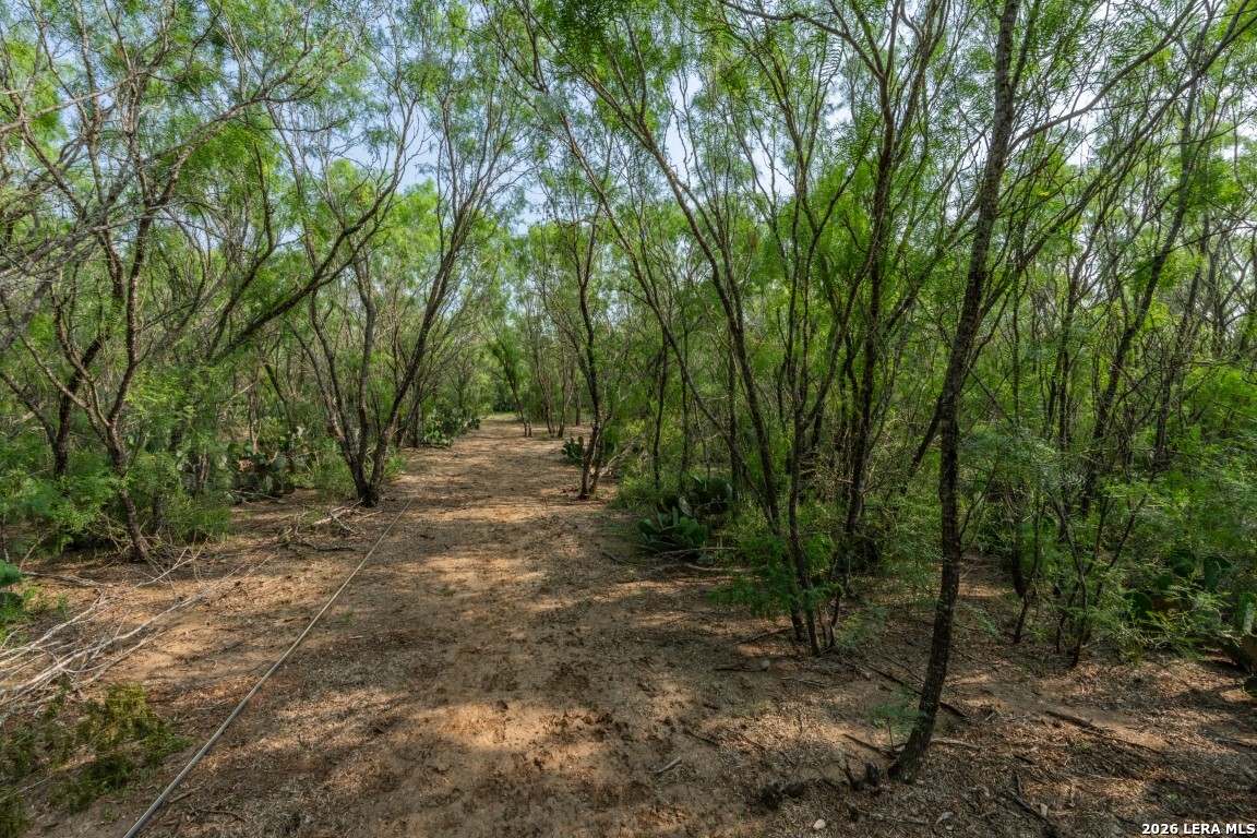 224 County Road 662 Devine TX 78016