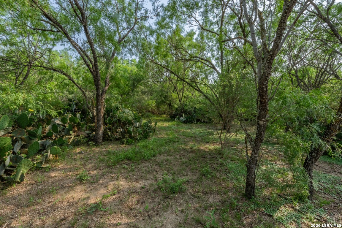 224 County Road 662 Devine TX 78016