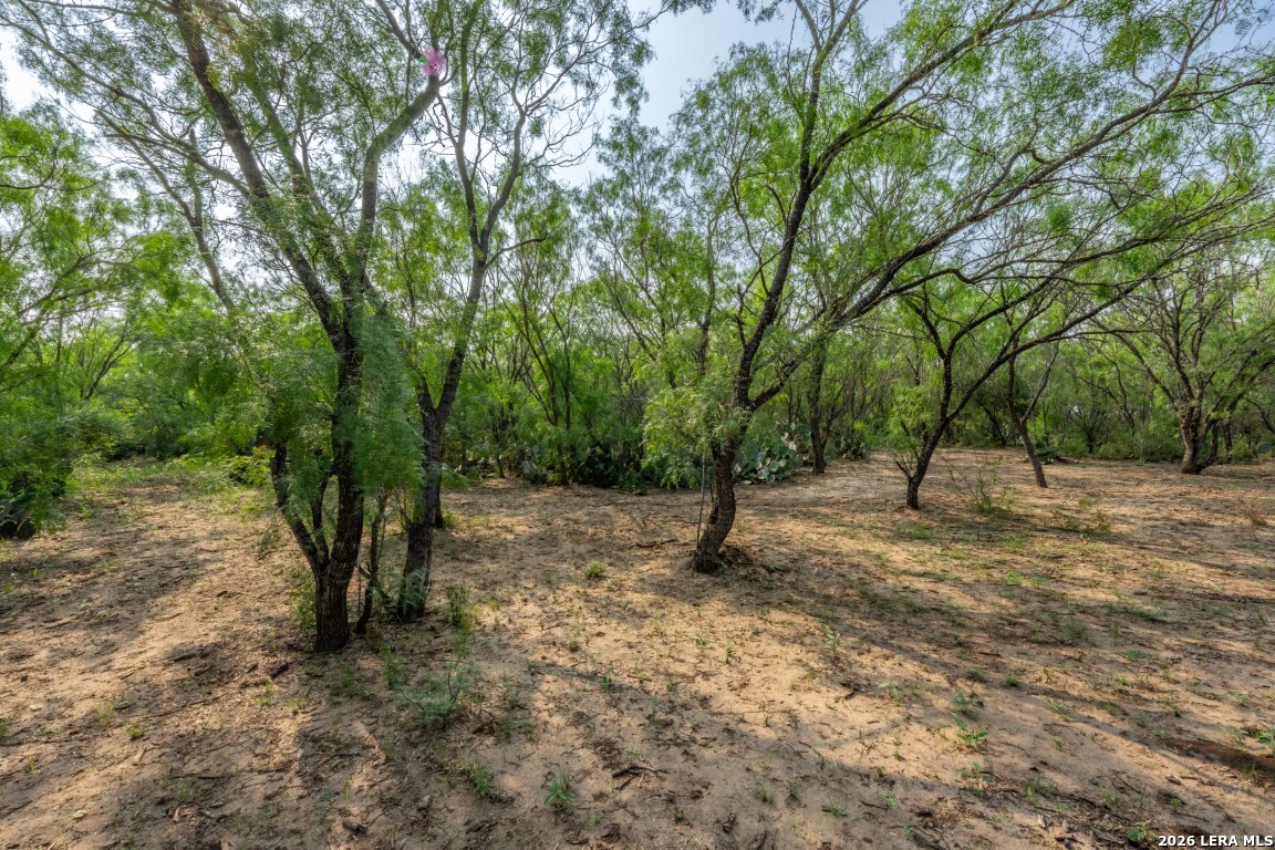 224 County Road 662 Devine TX 78016