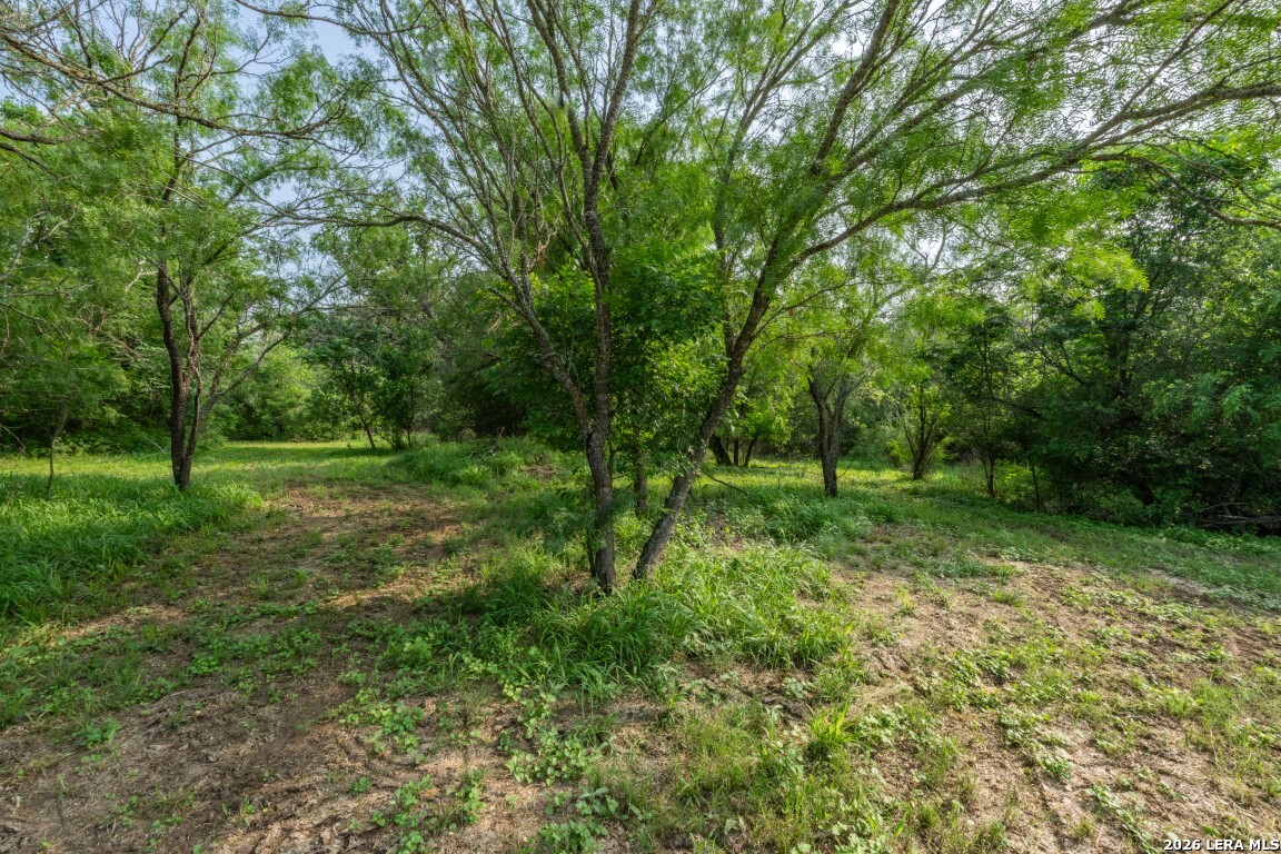 224 County Road 662 Devine TX 78016