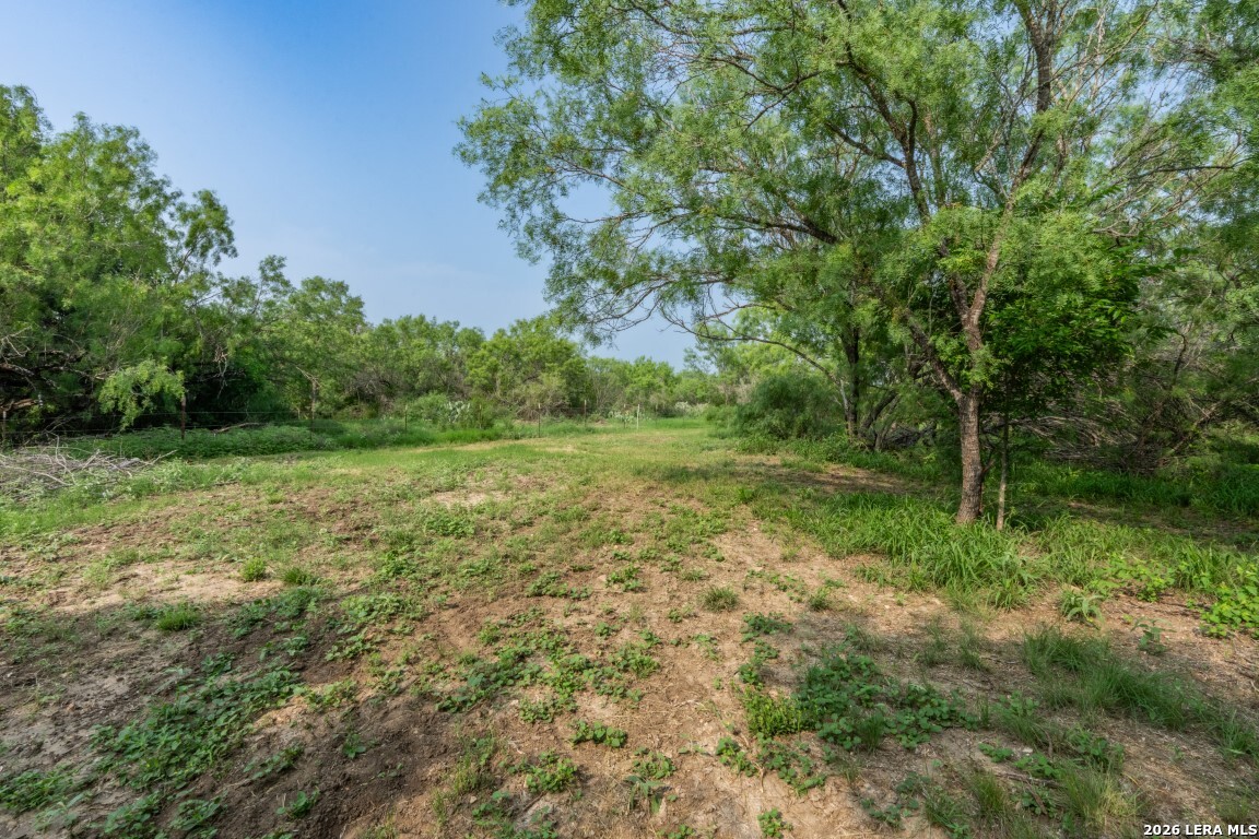 224 County Road 662 Devine TX 78016