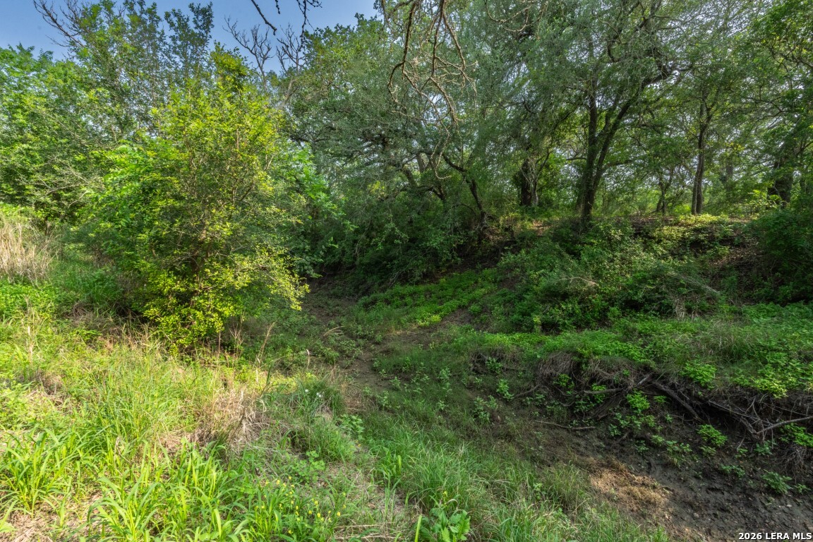 224 County Road 662 Devine TX 78016