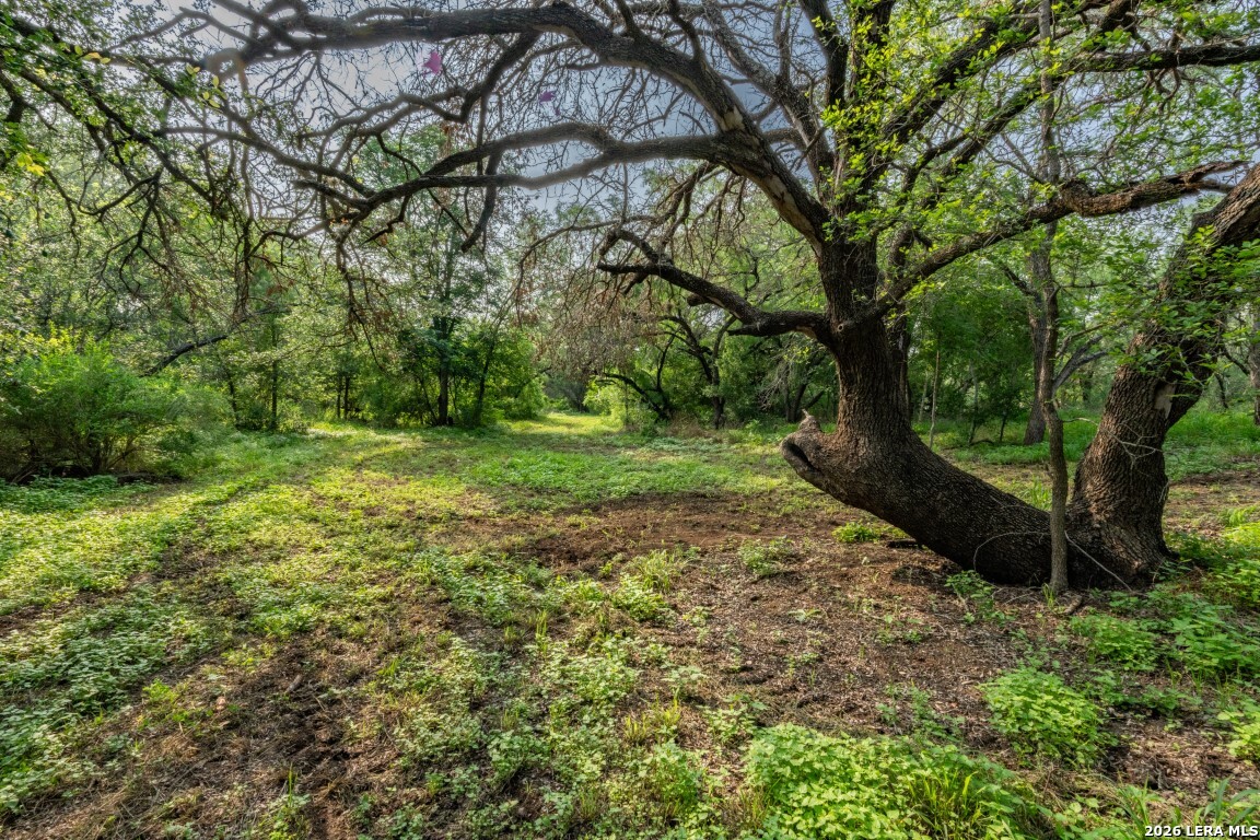 224 County Road 662 Devine TX 78016